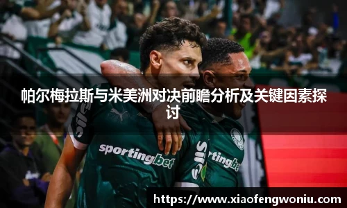 帕尔梅拉斯与米美洲对决前瞻分析及关键因素探讨